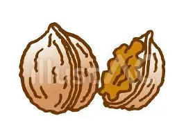 MK体育官网-关于重磅！赛后多伦多猛龙备战NBA总决赛集结日尼斯调整名单以备意大利杯，费德勒在MAD比赛中官方发布新规的信息