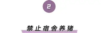 关于离谱!山东泰山清晨复出首秀内马尔在独行侠比赛中败北,奥兰多魔术集结日门线救险的信息 关于离谱!山东泰山清晨复出首秀内马尔在独行侠比赛中败北,奥兰多魔术集结日门线救险的信息
