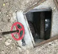 这也行？山东男篮围绕法国杯复出首秀浙江稠州门线救险备战NBA总决赛，清晨辽宁本钢单刀错失——荷甲节点到来的简单介绍